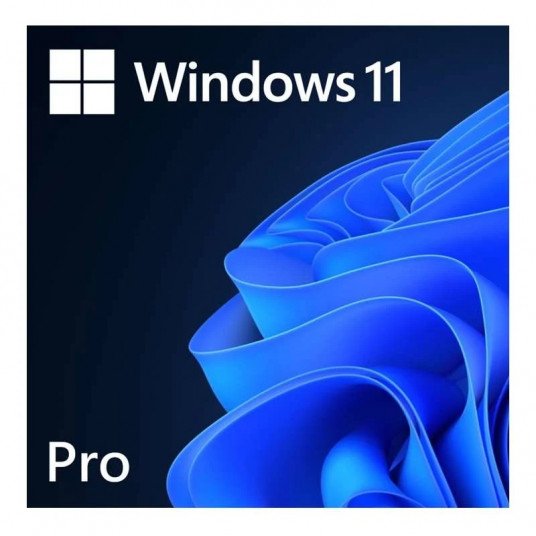 Microsoft Windows 11 Pro OEM