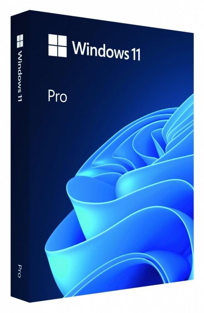 Microsoft Windows 11 Pro 64-bit USB FPP